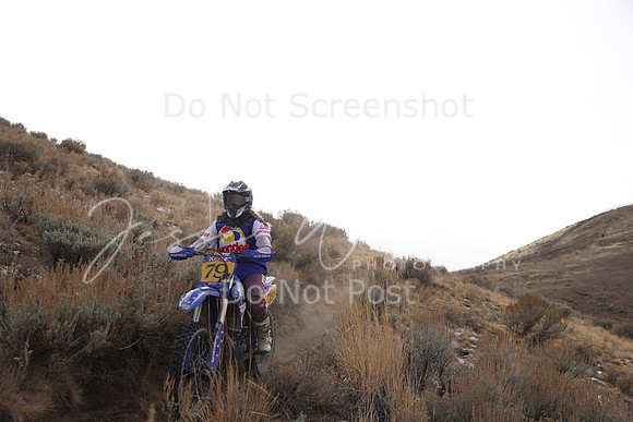 IMG_6007-79v