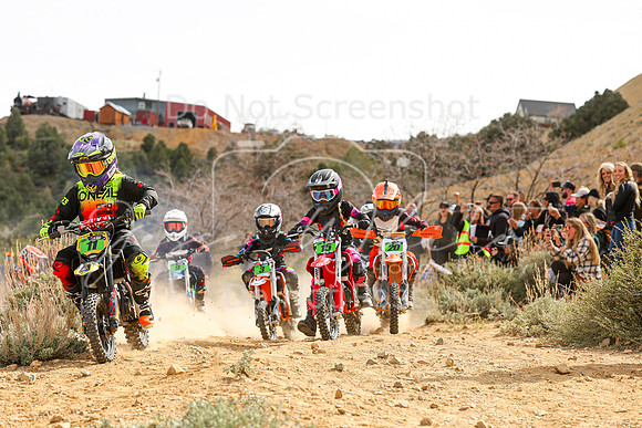 IMG_9903-11-15