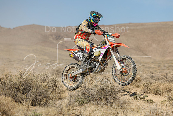 IMG_7982-569n