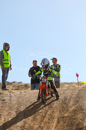 IMG_0011-728z