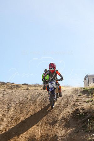 IMG_0017-110y