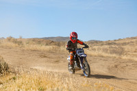 IMG_9745-110y