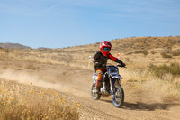IMG_9746-110y