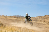 IMG_9748-419y