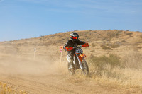IMG_9754-333y