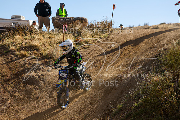 IMG_9901-419y