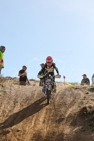 IMG_9977-528y