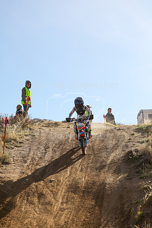 IMG_9987-209y