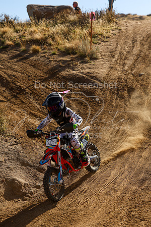IMG_9990-209y
