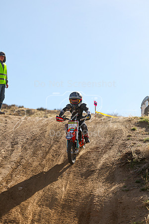 IMG_9996-490z