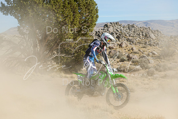 IMG_0702-359j