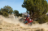 IMG_0697-226j