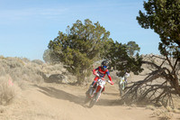 IMG_0712-113j