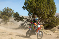 IMG_0709-350v