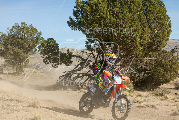 IMG_0709-350v