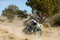 IMG_0719-13v