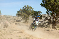 IMG_0717-13v