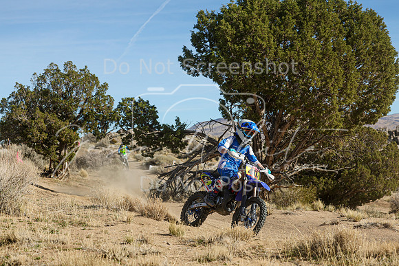 IMG_0745-411j