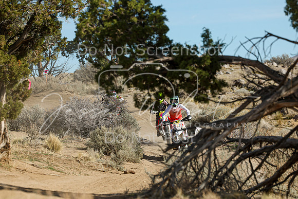 IMG_0755-777v