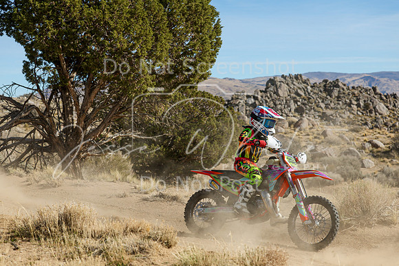 IMG_0770-352j
