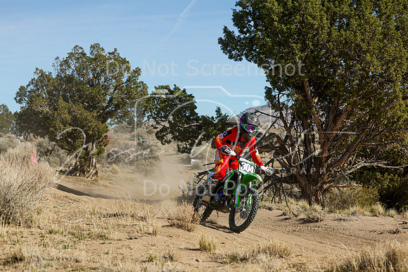 IMG_0783-304j