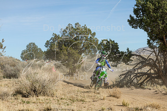 IMG_0791-199j