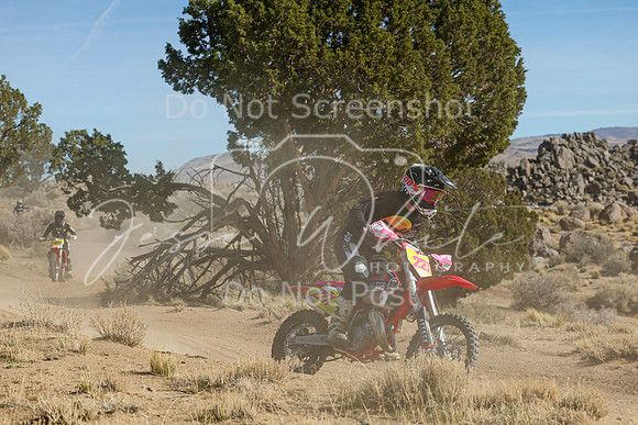 IMG_0801-227v