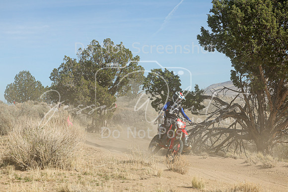 IMG_0814-319j