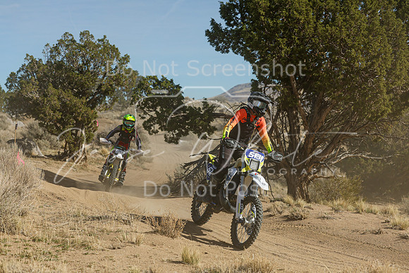 IMG_0841-513v