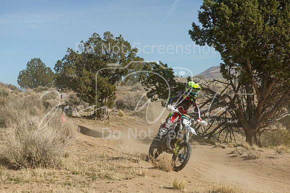 IMG_0843-827j