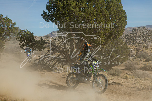 IMG_0855-478v