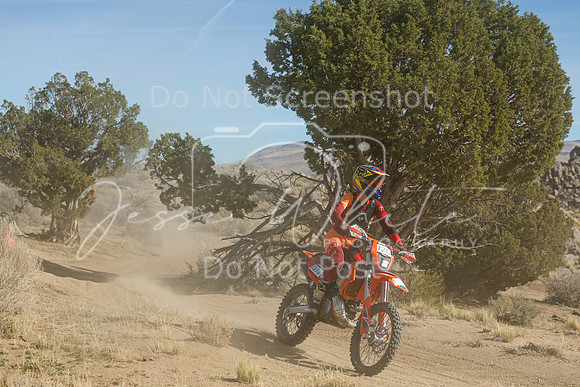 IMG_0881-121v