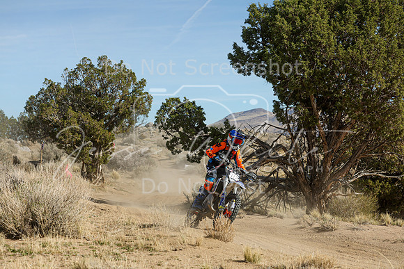 IMG_0890-86j