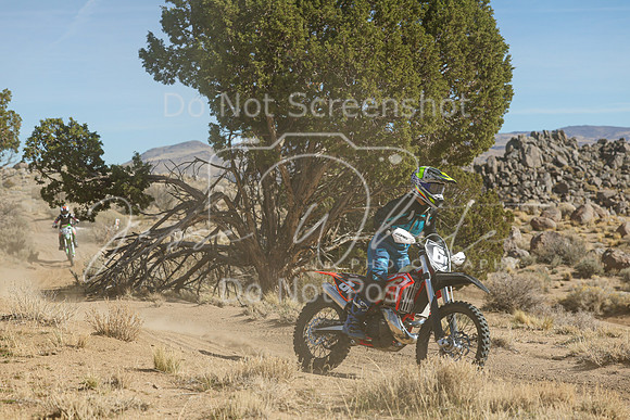 IMG_0900-6v