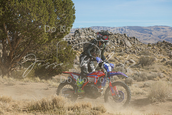 IMG_0922-413v