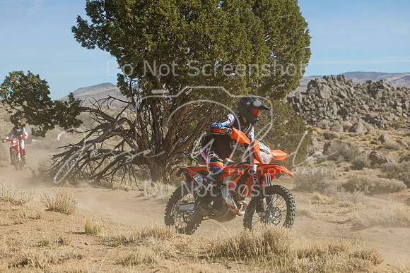 IMG_0930-14v