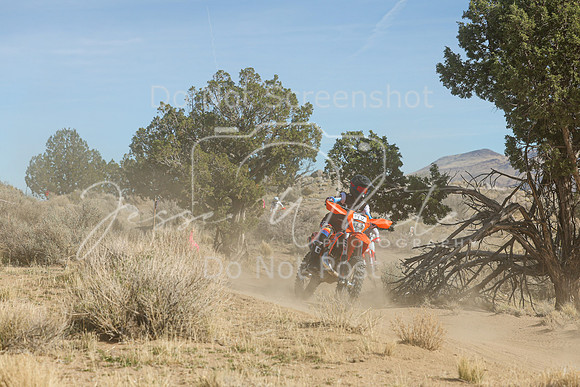 IMG_0928-14v