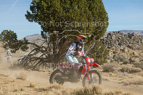 IMG_0937-111v