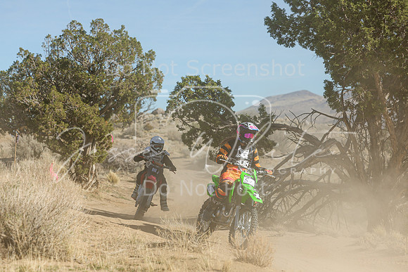 IMG_0949-5v