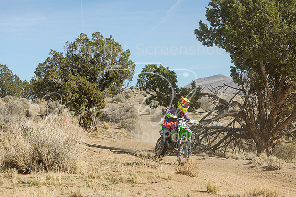 IMG_0960-379j