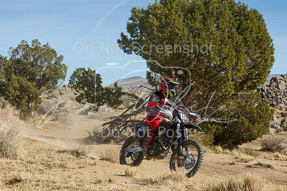 IMG_0967-19v