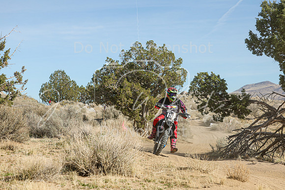 IMG_0965-19v