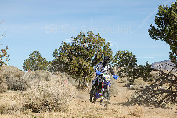 IMG_0981-342v