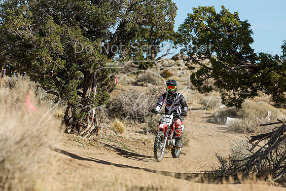 IMG_1002-54v