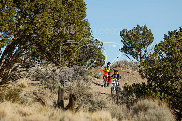 IMG_1008-413j