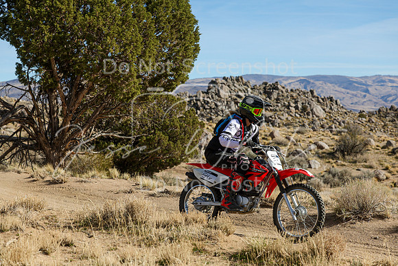 IMG_1006-54v