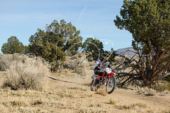 IMG_1004-54v