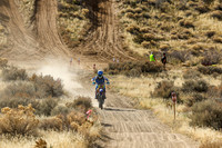 IMG_1141-411j