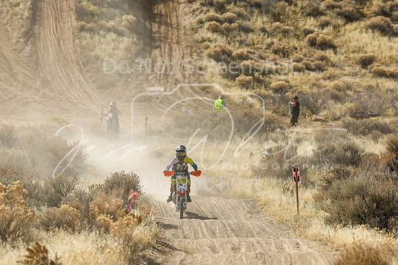 IMG_1202-666y
