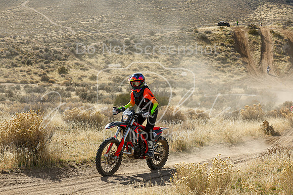 IMG_1224-888v
